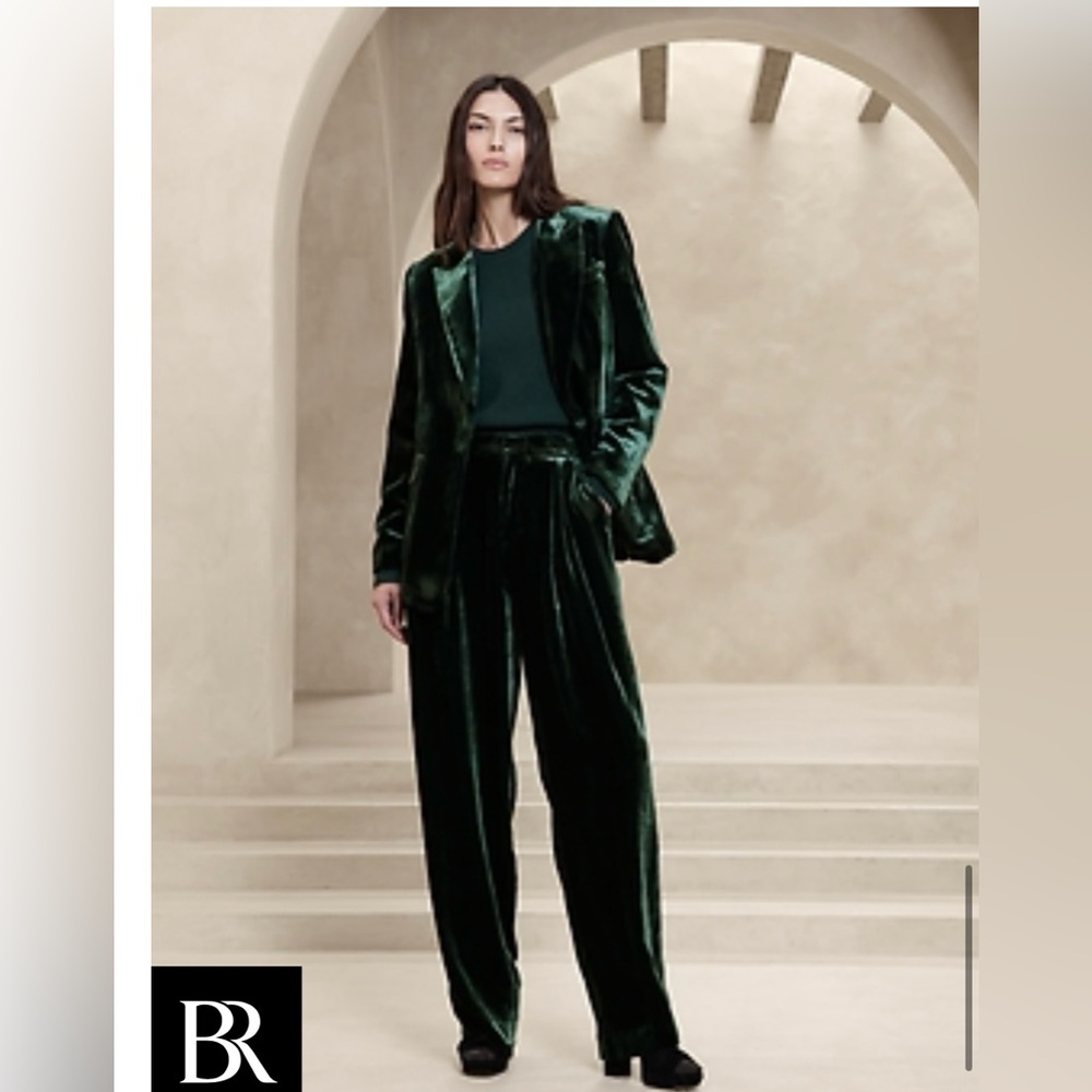 Banana Republic Silk Norte Velvet Pleated Green Wide Leg Dress Pants